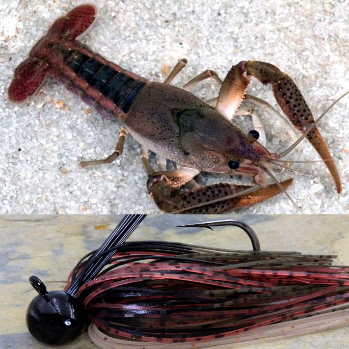 White River Craw Build by Moeller Taylor
